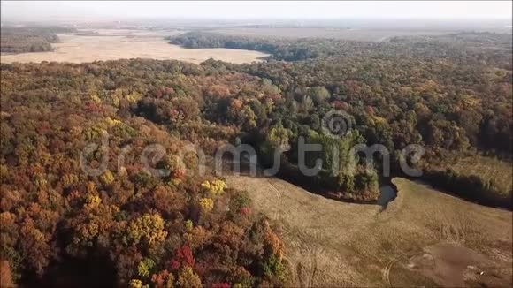 克拉朗古里森林的空中秋天视频的预览图