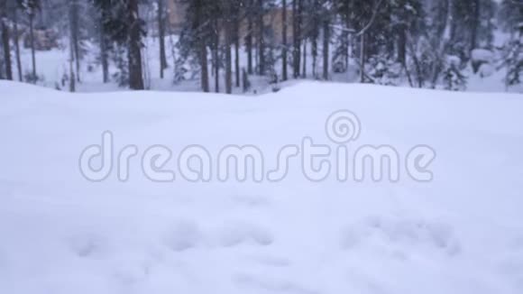 森林公园里下雪冰雪覆盖公园的冬季景观松树上大雪纷飞慢动作视频的预览图