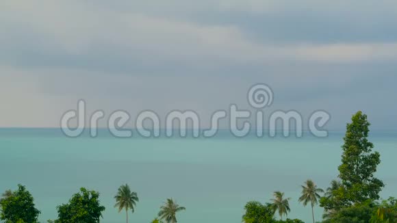 异国椰子棕榈树在风中移动热带海洋景观天堂岛海滩视频的预览图