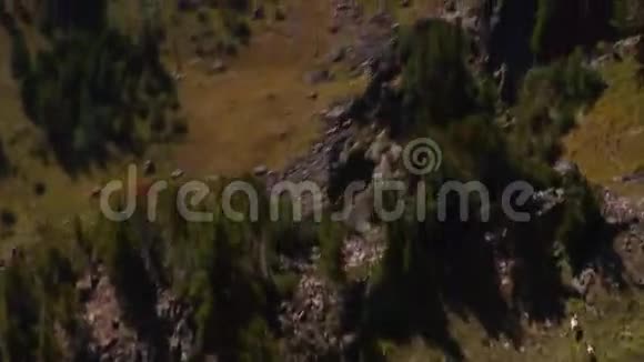 山地山羊群的空中射击视频的预览图