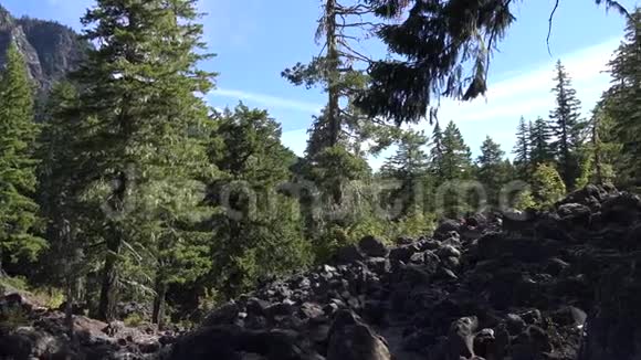 美丽的常青森林和野生自然瀑布流在俄勒冈州瀑布石山山脉4k空中景观视频的预览图