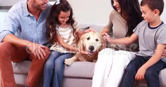 爱的家人坐在沙发上抚摸狗视频的预览图