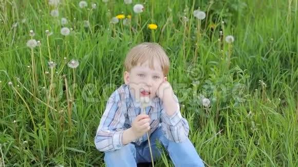 草地上的金发男孩吹着蒲公英的种子视频的预览图