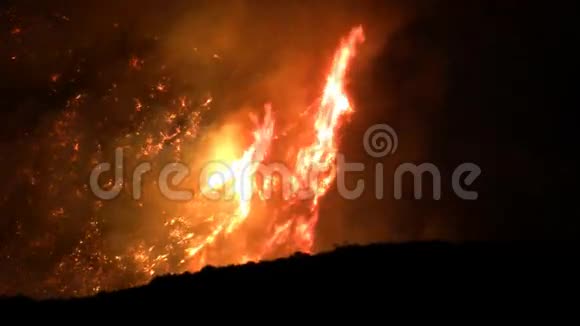 山野火肆虐HD视频的预览图