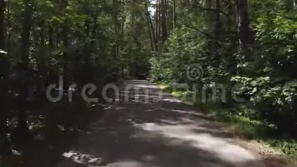 黑色汽车在绿色森林背景下的乡村公路上行驶无人驾驶飞机视野视频的预览图