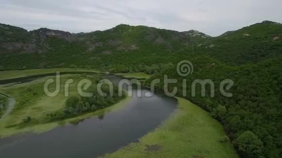 圆形水道转弯水面上的百合花在小山周围流动视频的预览图