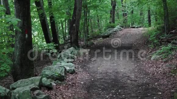 卢什山道7条中的5条视频的预览图