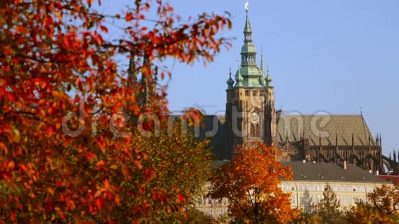 秋天的圣维特大教堂视频的预览图