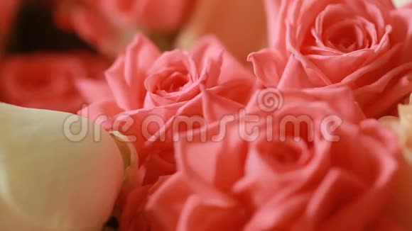 一束令人愉快的桃子和淡粉色玫瑰花装着绿网视频的预览图