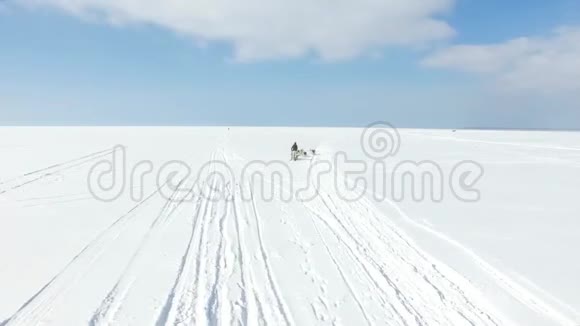 在冰冻的海湾训练雪橇狗视频的预览图