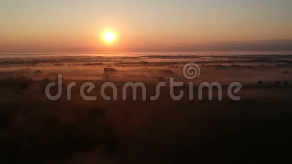 夏季结束日出后的晨雾农田景观空中视频的预览图