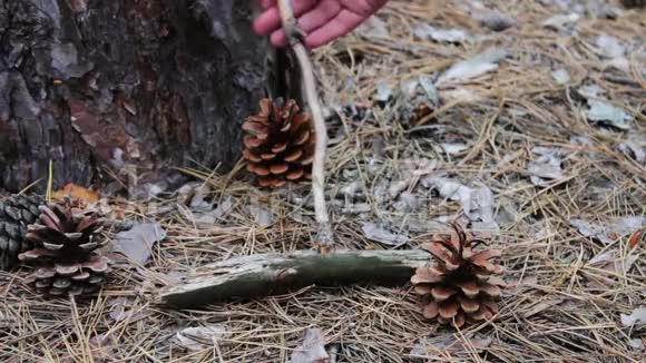 在木头上的木棍摩擦的作用下女人试图在森林里生火视频的预览图
