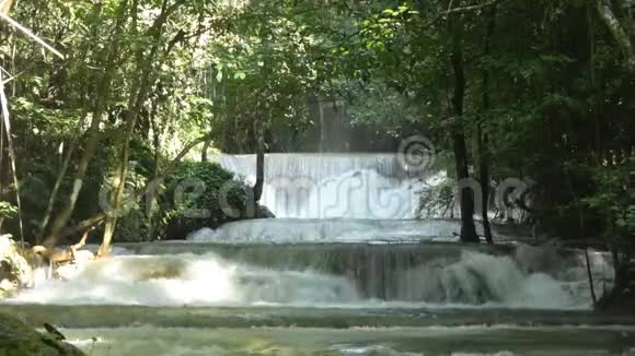 热带森林的瀑布和水流视频的预览图