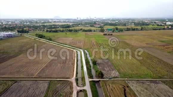 美丽的鸟瞰马来西亚基达山近稻田视频的预览图