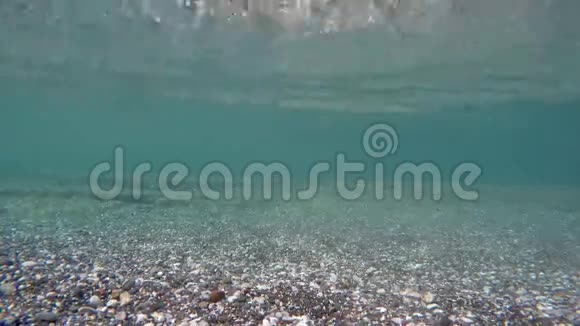 在海卵石下视频的预览图