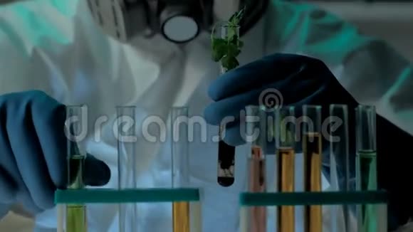 转基因植物胚芽生物实验室实验戴防护面罩和手套的科学家在视频的预览图