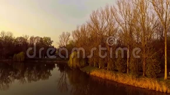 日落时有柳树的湖视频的预览图