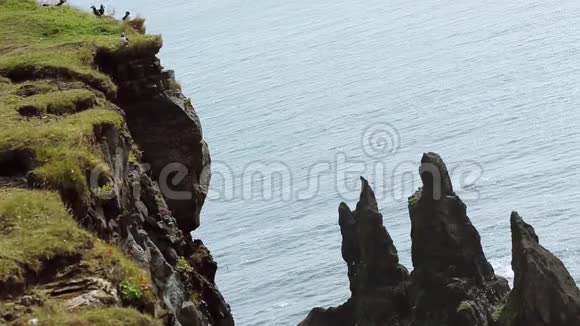 冰岛悬崖上的鸟群全景视频的预览图