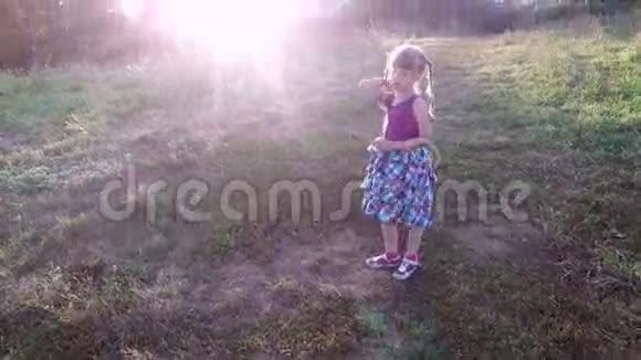 寻找野花的小女孩她穿过草坪日出视频的预览图