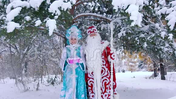 弗罗斯特神父和白雪公主站在白雪覆盖的树下视频的预览图