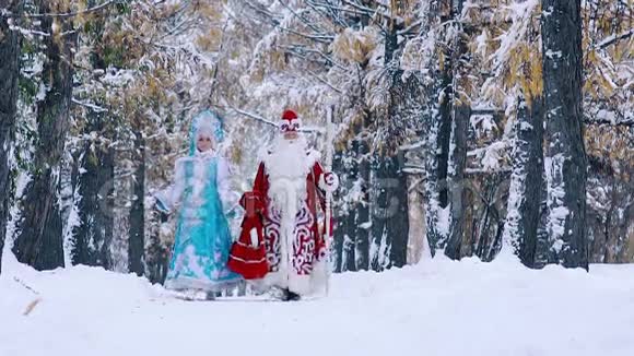 穿着童话服装的男人和女人在冬林中漫步视频的预览图