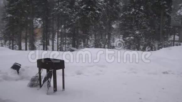 春天森林里的烧烤费用冬天的一天下着轻微的雪慢动作3840x2160视频的预览图