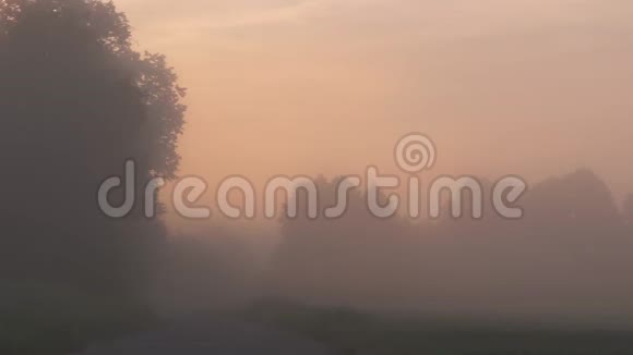 夏天日出时雾在乡间小路上视频的预览图