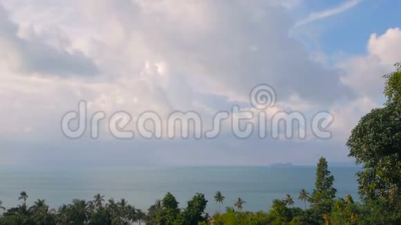 异国椰子棕榈树在风中移动热带海洋景观天堂岛海滩视频的预览图