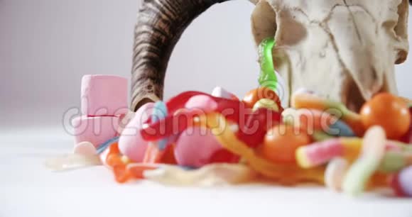 动物头骨和各种糖果白色背景4k视频的预览图