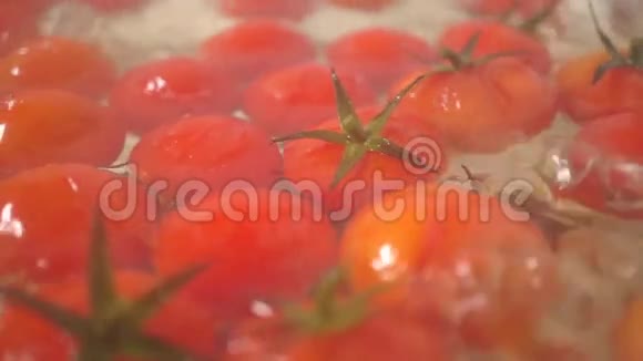 用叶子煮红色西红柿视频的预览图