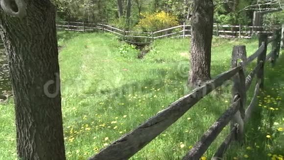 草地上的木栅栏2分视频的预览图