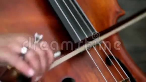 大提琴和大提琴特写视频的预览图