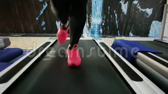 女人穿着运动鞋跑步跑腿特写有氧运动训练跑步机女孩穿着运动鞋视频的预览图
