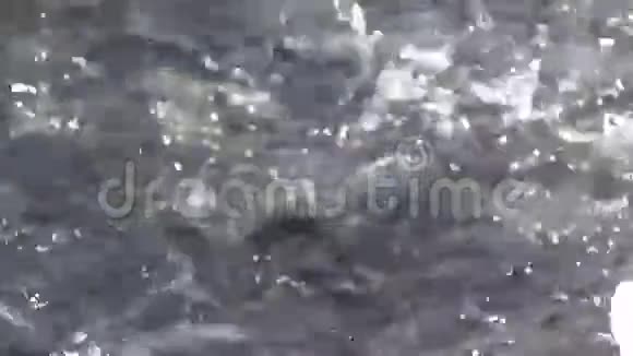 关闭水中的鱼类2视频的预览图