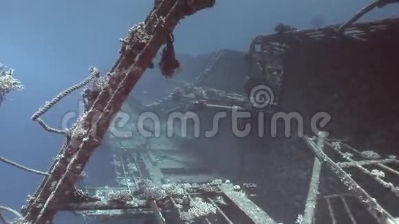 在埃及红海的蓝色水下塞勒姆快速沉船视频的预览图