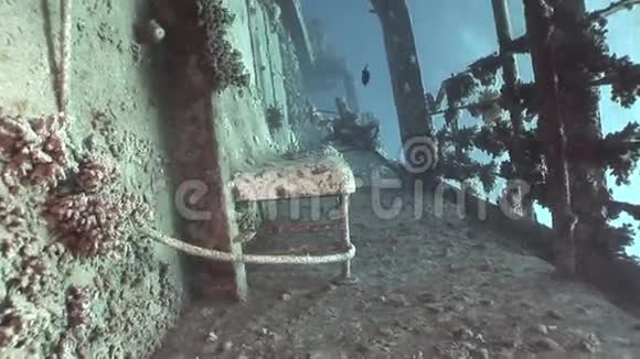 埃及海底沉船上的塞勒姆快船视频的预览图