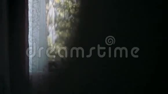 结婚戒指新娘和新郎的鞋子静静地站在窗户上仪式前的早晨向右滑动视频的预览图