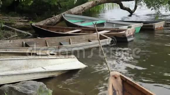 船在靠近岸边的水面上系在一棵树上在风的影响下旋转视频的预览图