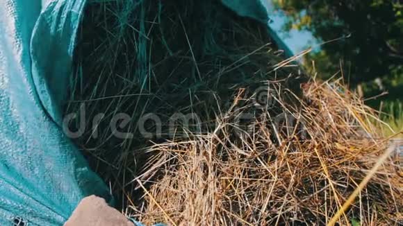 夏天稻草或干草堆在露天被蓝色聚乙烯覆盖视频的预览图