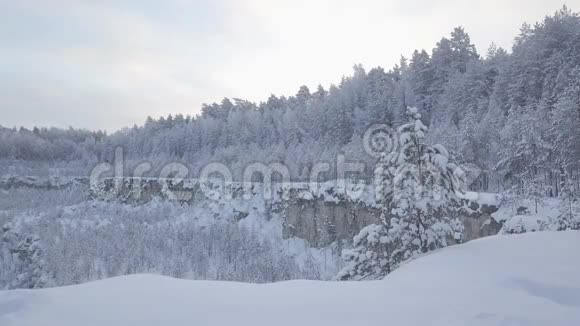森林里白雪覆盖的采石场视频的预览图