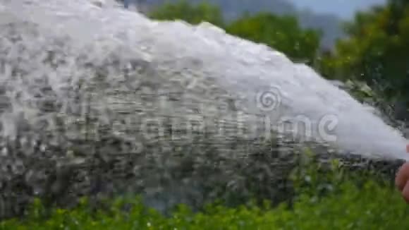 用软管浇灌花园视频的预览图