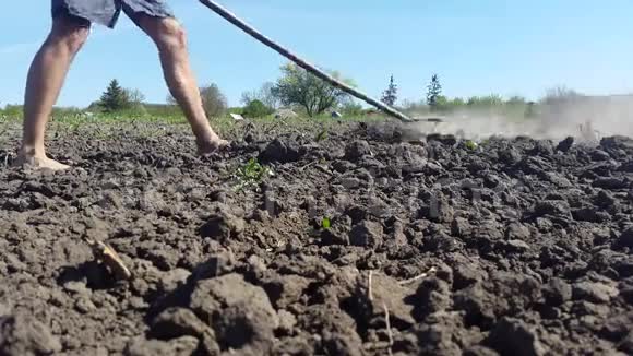 光脚的人用耙子种地视频的预览图