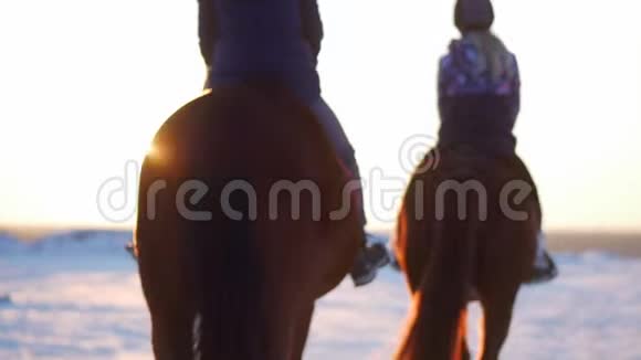 马与骑手和冬天在日落特写美丽的马与骑士在冬天慢动作射击视频的预览图