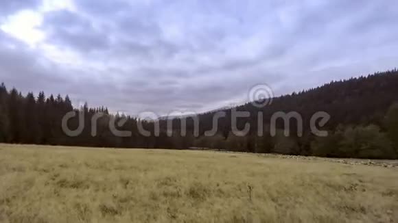成群的羊在山上视频的预览图