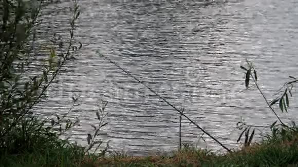 河岸上的钓鱼竿在河边旋转洒在浮水的背景下灯亮着视频的预览图
