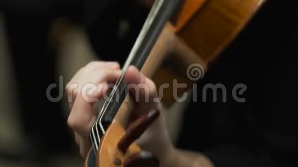 音乐家在爱乐协会拉小提琴视频的预览图