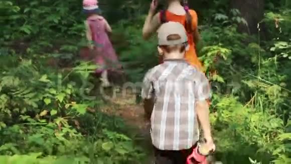三个孩子在夏天的绿色森林里散步后景视频的预览图