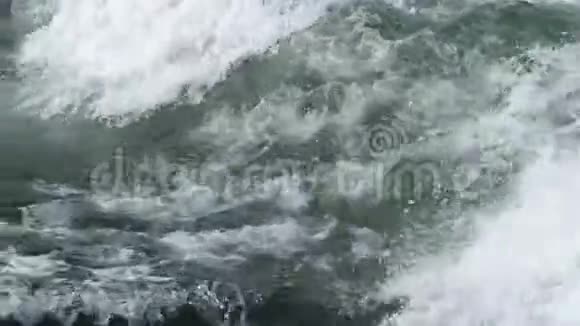 在波浪上冲浪自然光视频的预览图