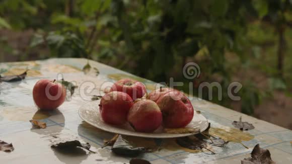 在一个旧花园里的秋雨下盘子里被遗忘的夏天的苹果变湿了视频的预览图