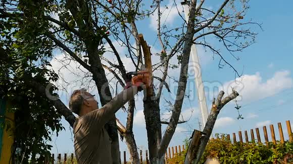 人用锯子把树上的老树枝剪下来视频的预览图